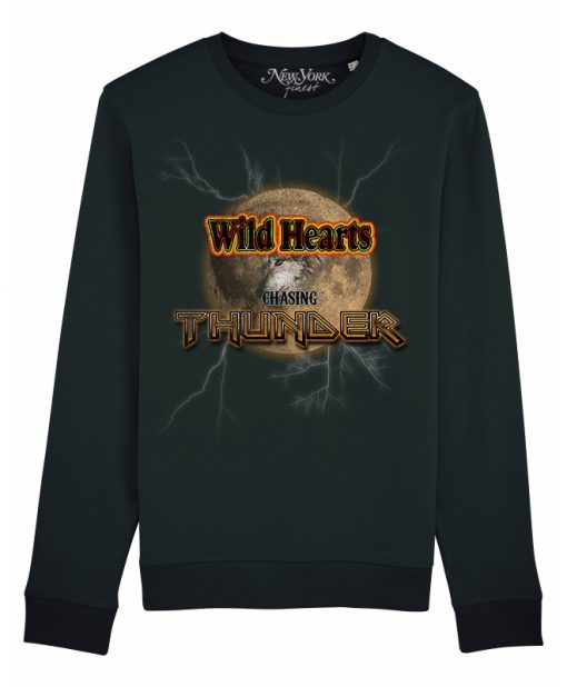 Sweater vrouwen wild hearts chasing thunder
