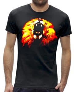 EK WK heren T-shirt oranje leeuw